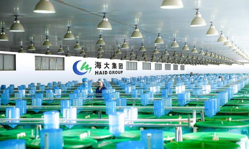 農(nóng)行廣東分行助力種業(yè)振興 激活芯動能 延伸金融服務(wù)至汽車裝飾用品銷售